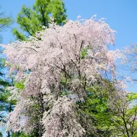 軽井沢プリンスホテル ウエストの写真・動画_image_432921