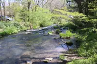 ハルニレテラスの写真・動画_image_432923