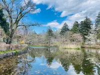 雲場池の写真・動画_image_432938