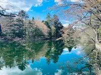 雲場池の写真・動画_image_432939