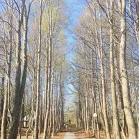 ホテルブレストンコートの写真・動画_image_432940