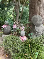 札所一番　四萬部寺の写真・動画_image_433004