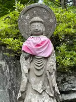 札所一番　四萬部寺の写真・動画_image_433007