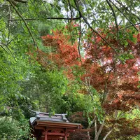 服部農園あじさい屋敷の写真・動画_image_433023