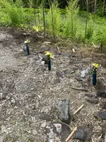 札所一番　四萬部寺の写真・動画_image_433044