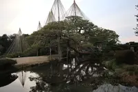 兼六園の写真・動画_image_433122