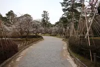 兼六園の写真・動画_image_433126