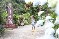 よへなあじさい園の写真・動画_image_433183