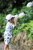 よへなあじさい園の写真・動画_image_433184