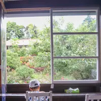よへなあじさい園の写真・動画_image_433187