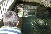 鏡ケ池の写真・動画_image_433224