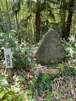 札所二番　真福寺の写真・動画_image_433368