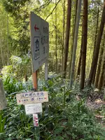 札所二番　真福寺の写真・動画_image_433369