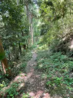 札所二番　真福寺の写真・動画_image_433374