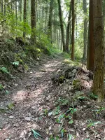 札所二番　真福寺の写真・動画_image_433375