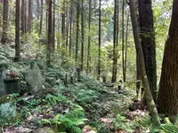 札所二番　真福寺の写真・動画_image_433376