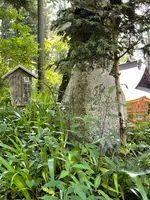 札所一番　四萬部寺の写真・動画_image_433389