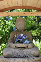 明月院（あじさい寺）の写真・動画_image_433576