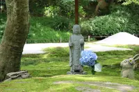 明月院（あじさい寺）の写真・動画_image_433577