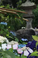 長谷寺の写真・動画_image_433594