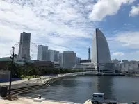 L'Antica Pizzeria da Michele 横浜(アンティーカ ピッツェリア ダ ミケーレ 横浜)の写真・動画_image_433630