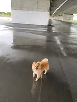 波の上うみそら公園の写真・動画_image_433866