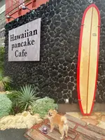 コナズ珈琲アメリカンビレッジの写真・動画_image_433877