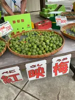 ＪＡ福井県　梅の里会館の写真・動画_image_433913