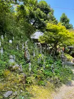 金昌寺の写真・動画_image_434010