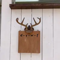 d-y-w-fの写真・動画_image_434165