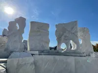 未来心の丘の写真・動画_image_434295