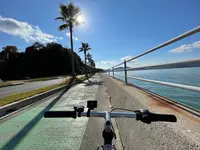 瀬戸田サンセットビーチの写真・動画_image_434370