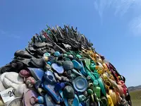 宇野のチヌの写真・動画_image_434733