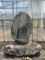 秩父札所五番語歌堂の写真・動画_image_434905