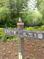 秩父札所五番語歌堂の写真・動画_image_434907