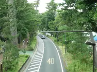 松涛庵の写真・動画_image_43491