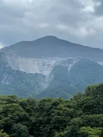 札所八番西善寺の写真・動画_image_434949