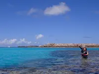 ニシハマビーチの写真・動画_image_435041