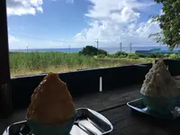 みんぴかの写真・動画_image_435045