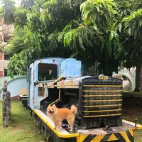 壺川東公園の写真・動画_image_435214