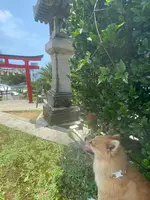 沖宮の写真・動画_image_435227