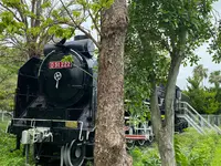 与儀公園の写真・動画_image_435233