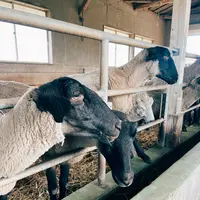 高千穂牧場の写真・動画_image_435488