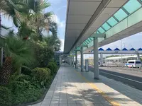鹿児島空港の写真・動画_image_435827