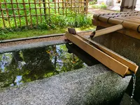 梨木神社の写真・動画_image_436119