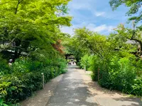 梨木神社の写真・動画_image_436126