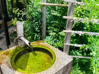 梨木神社の写真・動画_image_436127