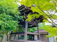 廬山寺の写真・動画_image_436141