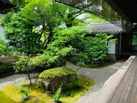 廬山寺の写真・動画_image_436144