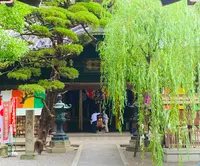 六角堂の写真・動画_image_436156